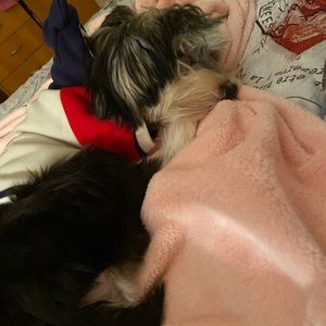 Meet your Posher, Jei